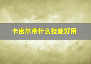 卡密尔带什么技能好用