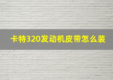 卡特320发动机皮带怎么装