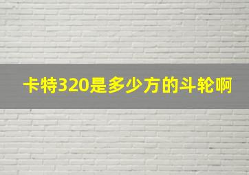 卡特320是多少方的斗轮啊