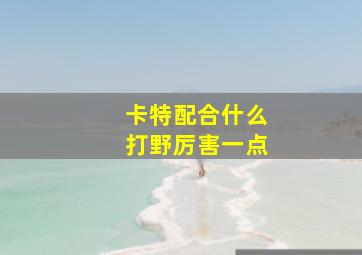 卡特配合什么打野厉害一点