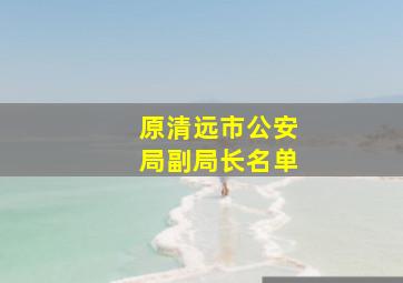 原清远市公安局副局长名单