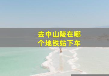 去中山陵在哪个地铁站下车