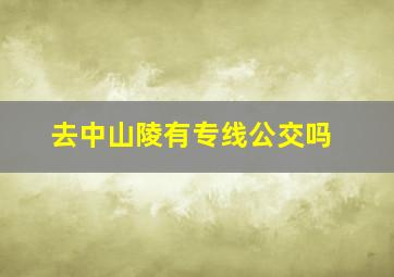 去中山陵有专线公交吗