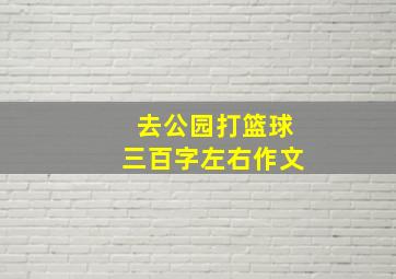 去公园打篮球三百字左右作文