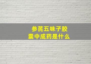 参芪五味子胶囊中成药是什么