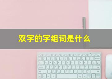 双字的字组词是什么