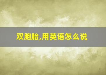 双胞胎,用英语怎么说