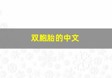 双胞胎的中文