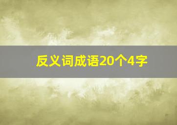 反义词成语20个4字