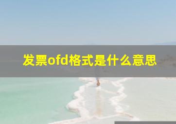 发票ofd格式是什么意思