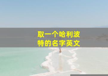 取一个哈利波特的名字英文