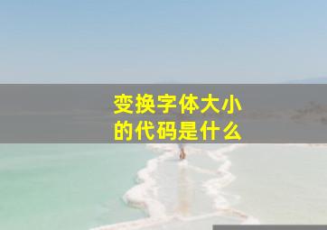 变换字体大小的代码是什么