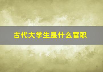 古代大学生是什么官职