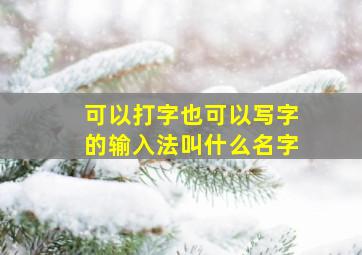 可以打字也可以写字的输入法叫什么名字