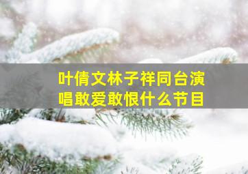 叶倩文林子祥同台演唱敢爱敢恨什么节目