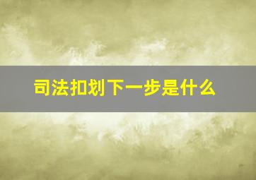 司法扣划下一步是什么