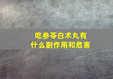 吃参苓白术丸有什么副作用和危害