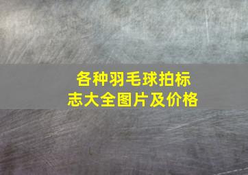 各种羽毛球拍标志大全图片及价格