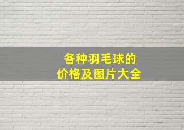 各种羽毛球的价格及图片大全