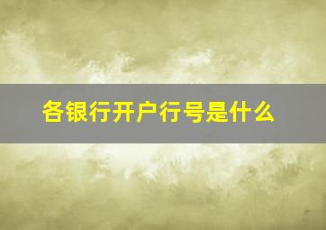 各银行开户行号是什么