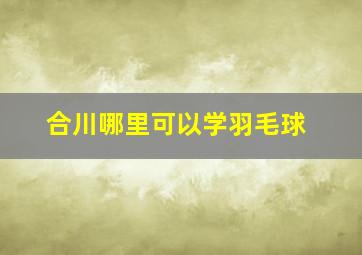 合川哪里可以学羽毛球