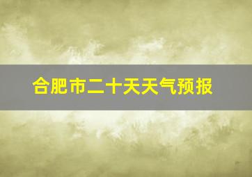 合肥市二十天天气预报