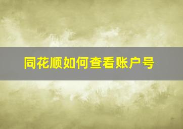 同花顺如何查看账户号