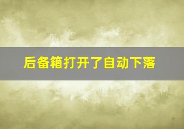 后备箱打开了自动下落