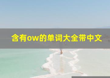 含有ow的单词大全带中文