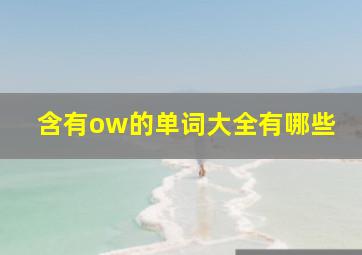 含有ow的单词大全有哪些