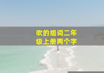 吹的组词二年级上册两个字