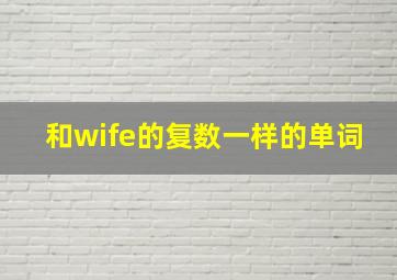 和wife的复数一样的单词