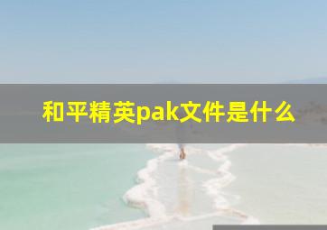 和平精英pak文件是什么