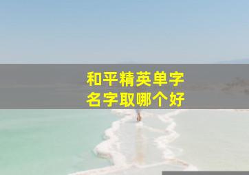 和平精英单字名字取哪个好