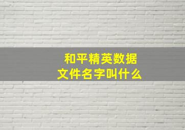 和平精英数据文件名字叫什么