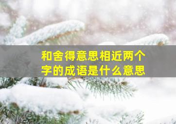 和舍得意思相近两个字的成语是什么意思