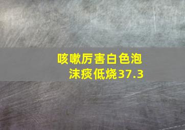 咳嗽厉害白色泡沫痰低烧37.3