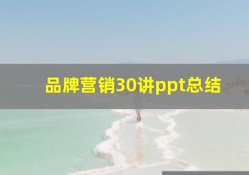 品牌营销30讲ppt总结