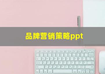 品牌营销策略ppt