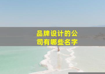 品牌设计的公司有哪些名字