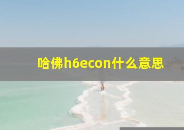 哈佛h6econ什么意思