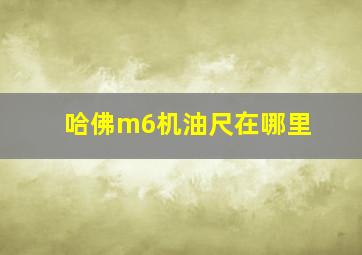 哈佛m6机油尺在哪里