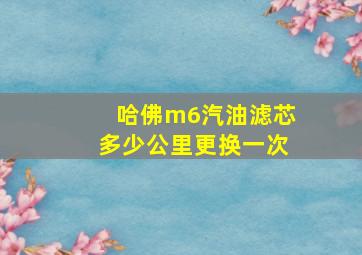 哈佛m6汽油滤芯多少公里更换一次