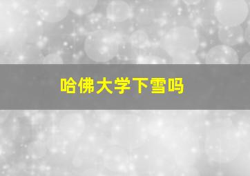 哈佛大学下雪吗