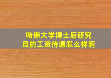 哈佛大学博士后研究员的工资待遇怎么样啊