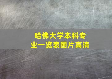 哈佛大学本科专业一览表图片高清