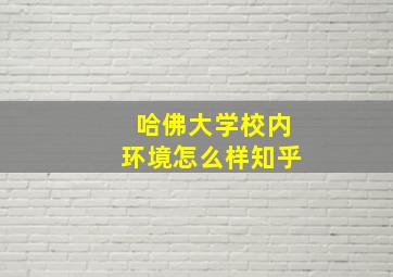 哈佛大学校内环境怎么样知乎