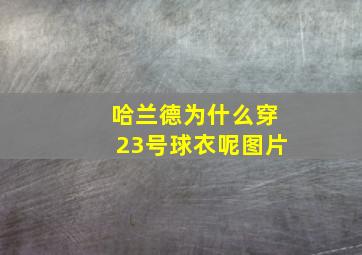 哈兰德为什么穿23号球衣呢图片