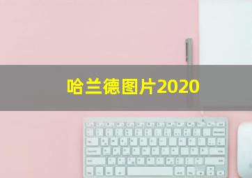 哈兰德图片2020