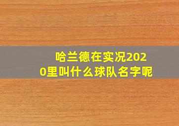 哈兰德在实况2020里叫什么球队名字呢